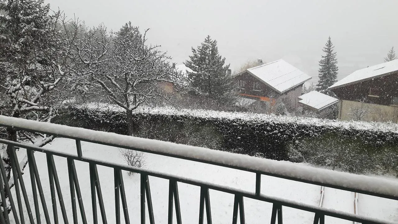 Rand'Ubaye Apartment Barcelonnette